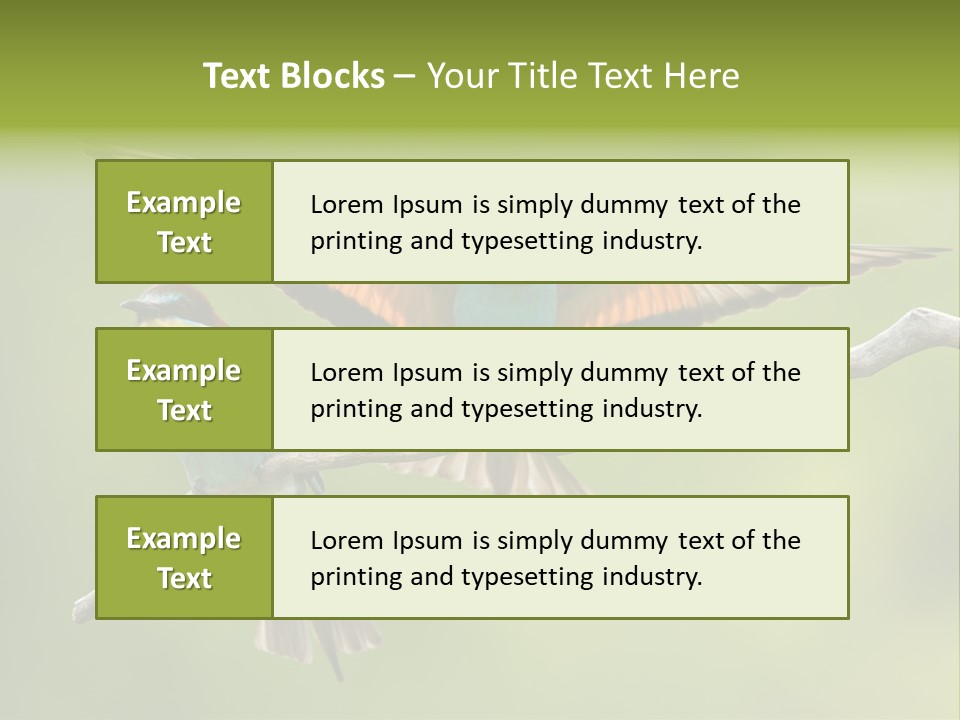 A Couple Of Birds Sitting On Top Of A Tree Branch PowerPoint Template