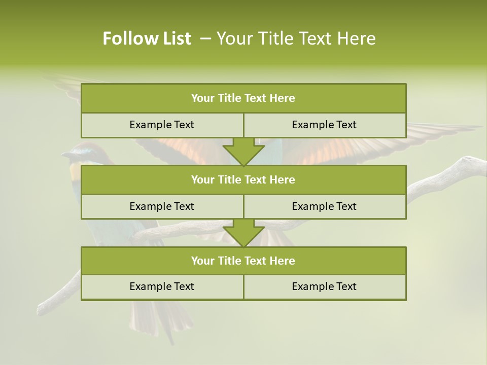 A Couple Of Birds Sitting On Top Of A Tree Branch PowerPoint Template