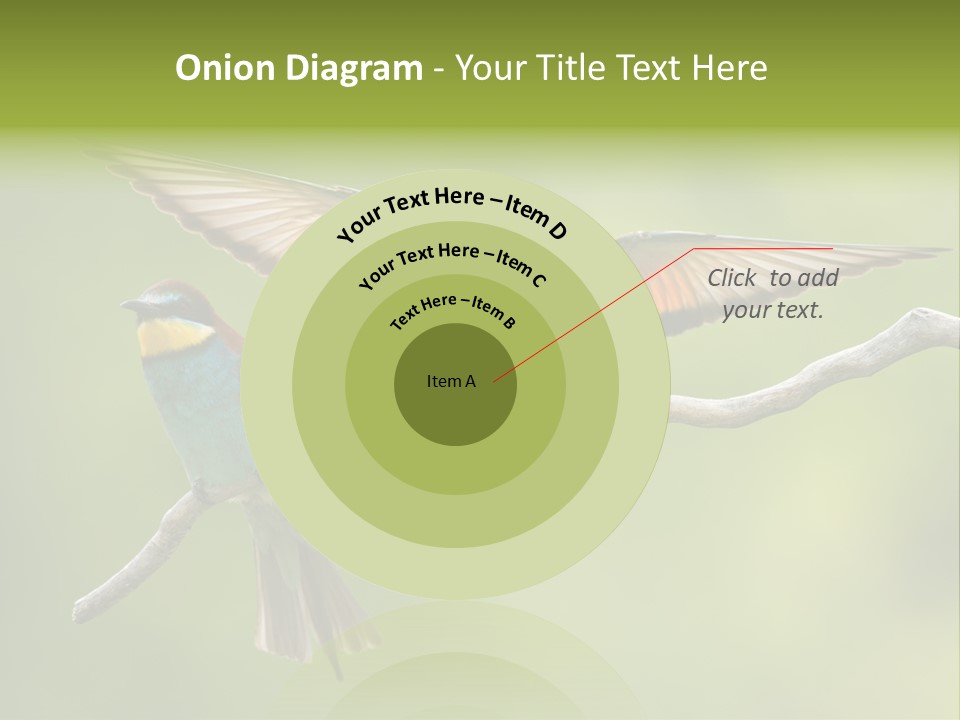 A Couple Of Birds Sitting On Top Of A Tree Branch PowerPoint Template