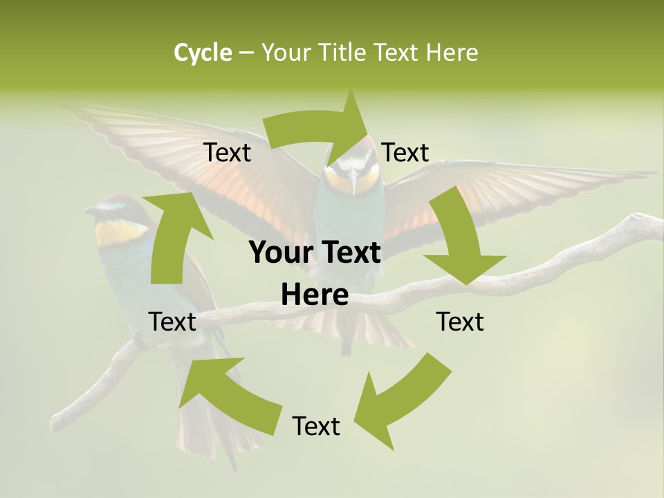 A Couple Of Birds Sitting On Top Of A Tree Branch PowerPoint Template