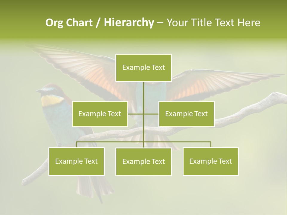 A Couple Of Birds Sitting On Top Of A Tree Branch PowerPoint Template