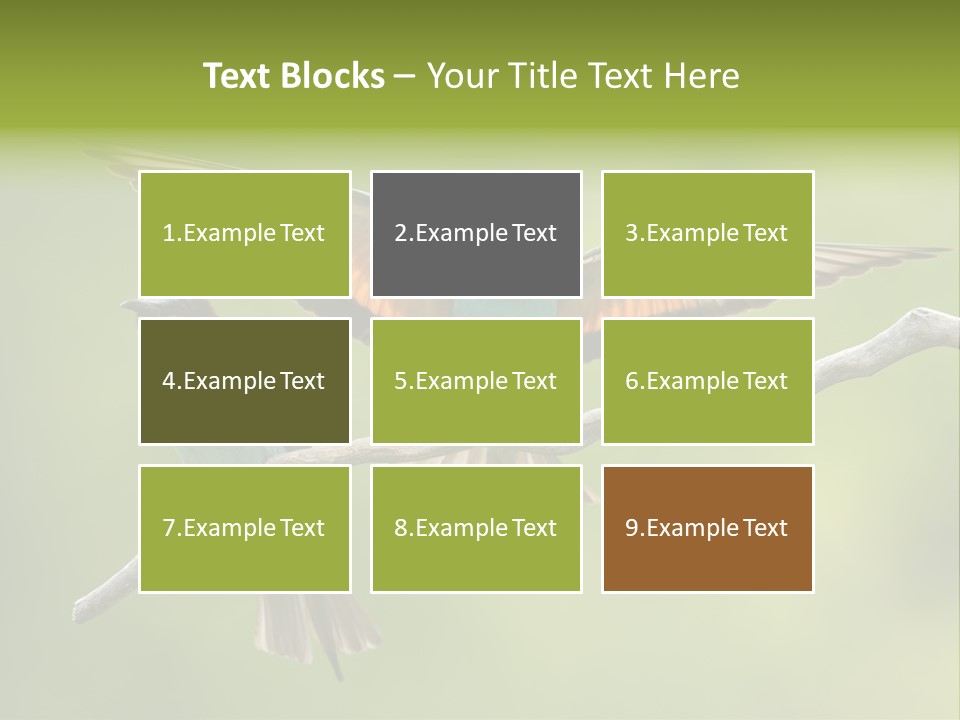 A Couple Of Birds Sitting On Top Of A Tree Branch PowerPoint Template