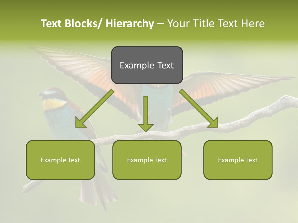 A Couple Of Birds Sitting On Top Of A Tree Branch PowerPoint Template