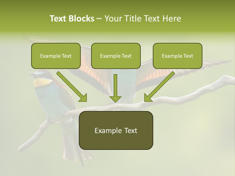 A Couple Of Birds Sitting On Top Of A Tree Branch PowerPoint Template
