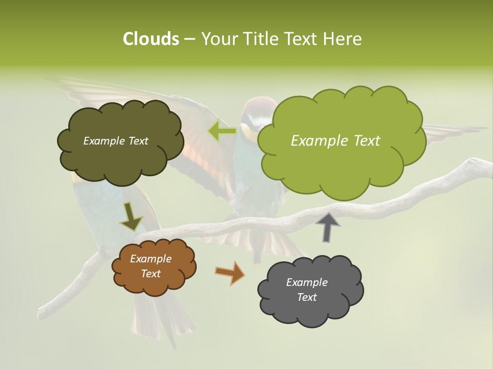 A Couple Of Birds Sitting On Top Of A Tree Branch PowerPoint Template