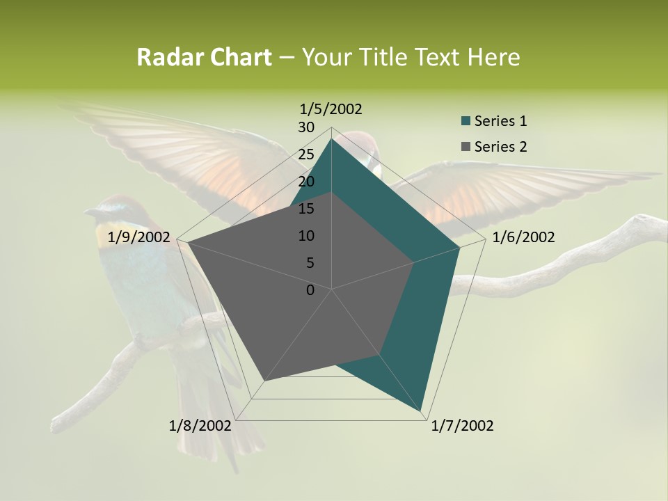 A Couple Of Birds Sitting On Top Of A Tree Branch PowerPoint Template