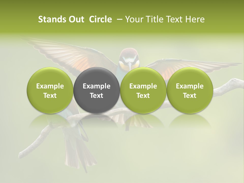 A Couple Of Birds Sitting On Top Of A Tree Branch PowerPoint Template