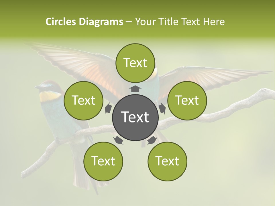 A Couple Of Birds Sitting On Top Of A Tree Branch PowerPoint Template