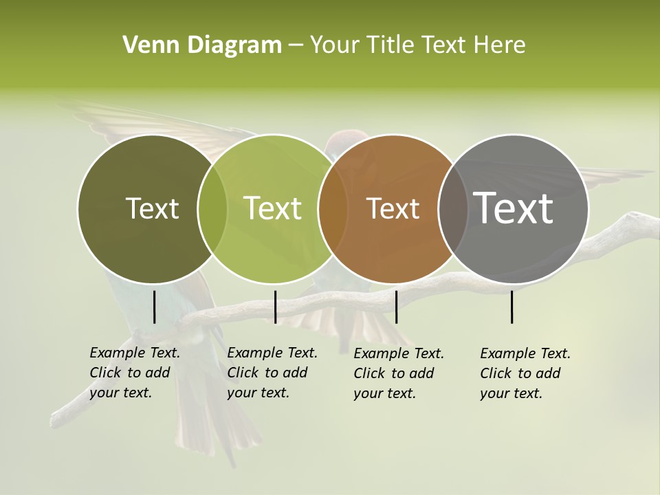 A Couple Of Birds Sitting On Top Of A Tree Branch PowerPoint Template