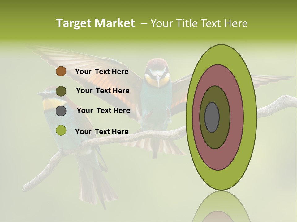 A Couple Of Birds Sitting On Top Of A Tree Branch PowerPoint Template