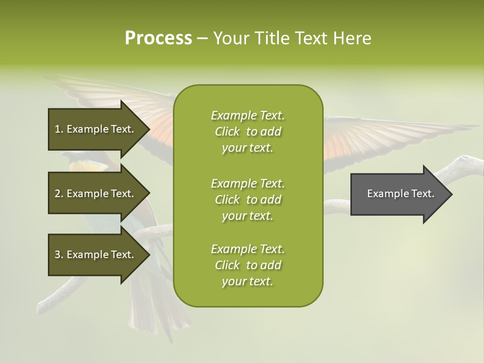 A Couple Of Birds Sitting On Top Of A Tree Branch PowerPoint Template