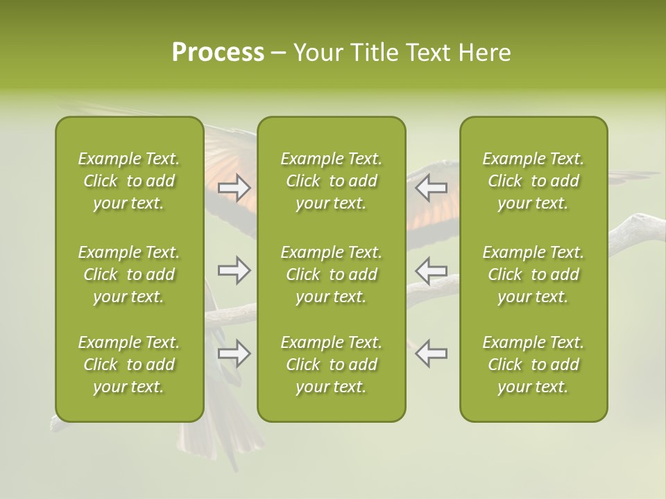 A Couple Of Birds Sitting On Top Of A Tree Branch PowerPoint Template