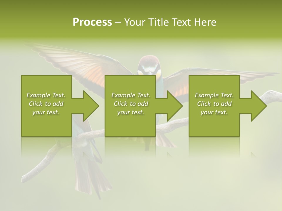 A Couple Of Birds Sitting On Top Of A Tree Branch PowerPoint Template