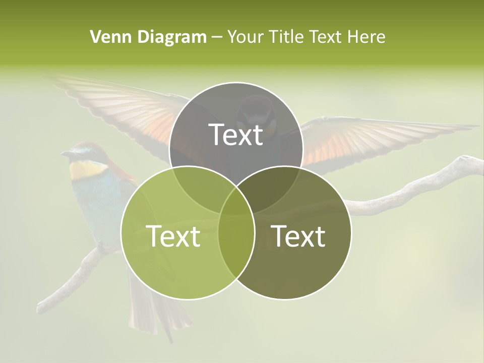 A Couple Of Birds Sitting On Top Of A Tree Branch PowerPoint Template