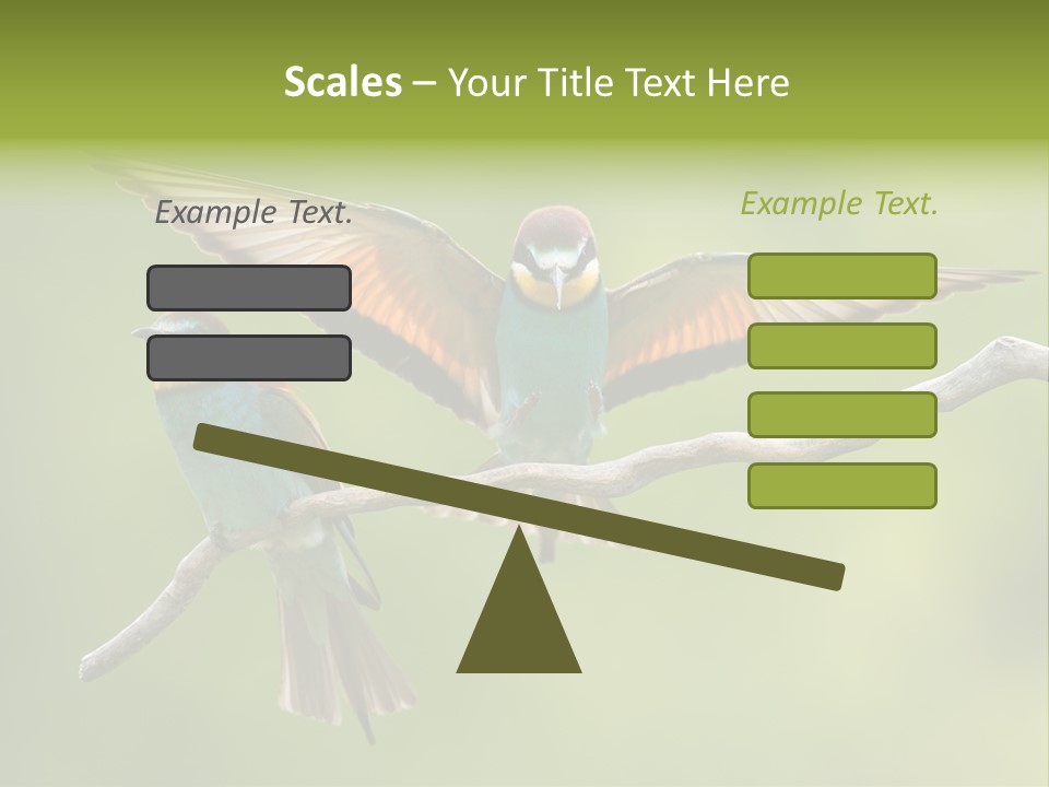 A Couple Of Birds Sitting On Top Of A Tree Branch PowerPoint Template