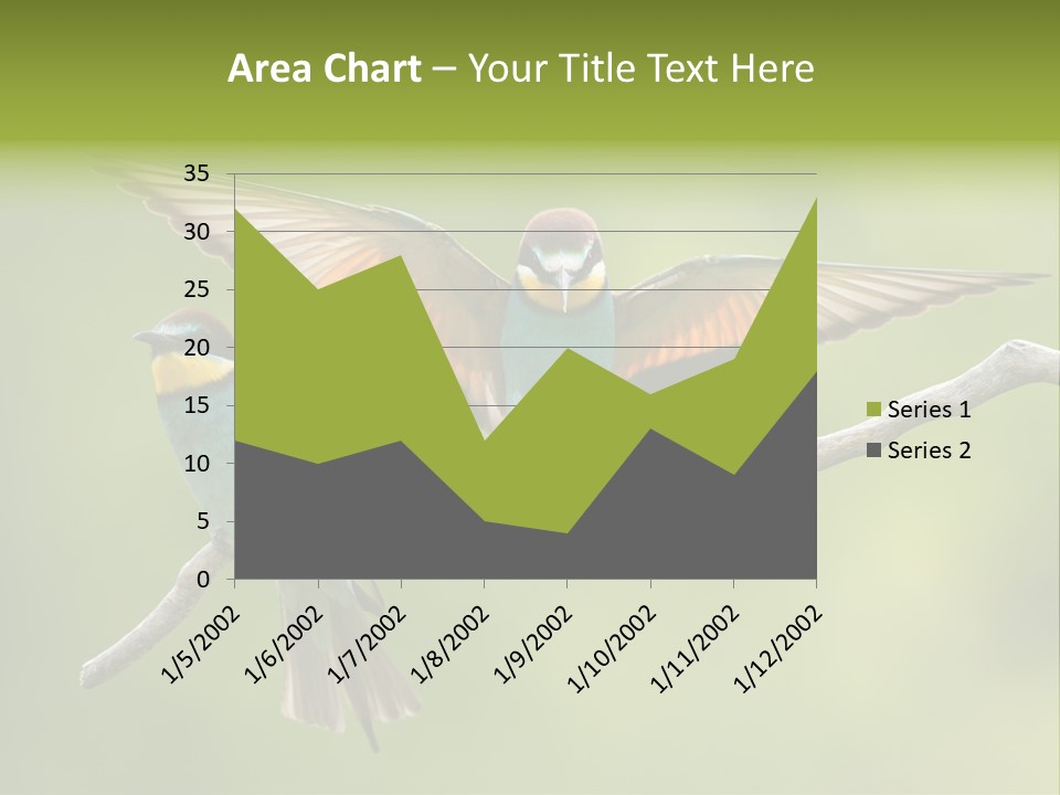 A Couple Of Birds Sitting On Top Of A Tree Branch PowerPoint Template