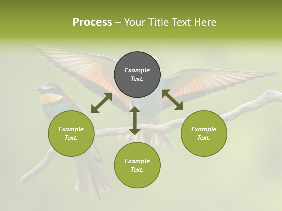 A Couple Of Birds Sitting On Top Of A Tree Branch PowerPoint Template
