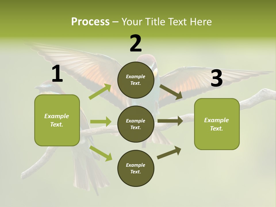 A Couple Of Birds Sitting On Top Of A Tree Branch PowerPoint Template