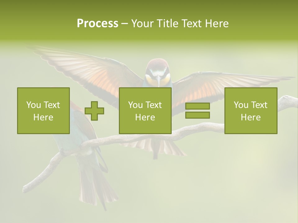 A Couple Of Birds Sitting On Top Of A Tree Branch PowerPoint Template