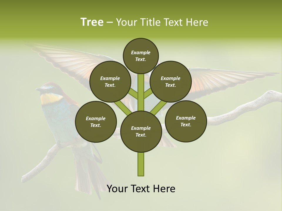 A Couple Of Birds Sitting On Top Of A Tree Branch PowerPoint Template