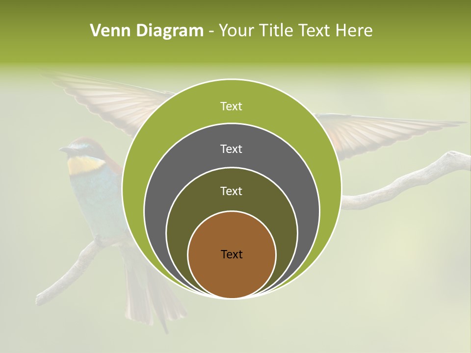 A Couple Of Birds Sitting On Top Of A Tree Branch PowerPoint Template