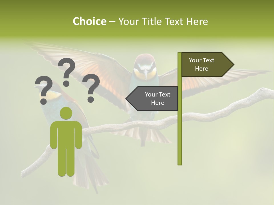 A Couple Of Birds Sitting On Top Of A Tree Branch PowerPoint Template
