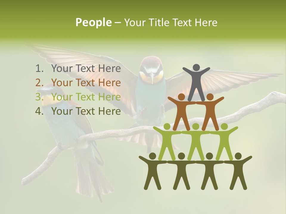 A Couple Of Birds Sitting On Top Of A Tree Branch PowerPoint Template
