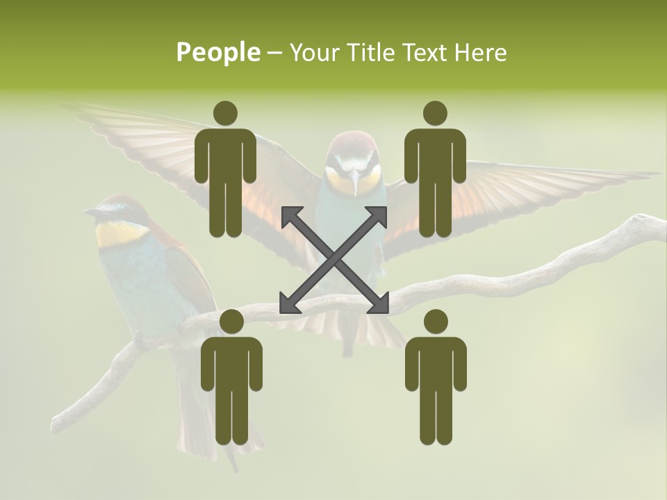 A Couple Of Birds Sitting On Top Of A Tree Branch PowerPoint Template