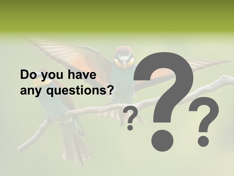 A Couple Of Birds Sitting On Top Of A Tree Branch PowerPoint Template
