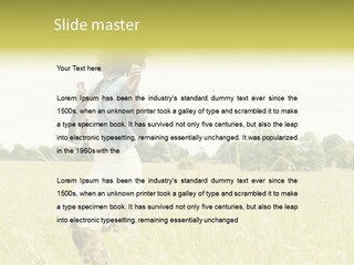 Senses Concept Rhythm PowerPoint Template