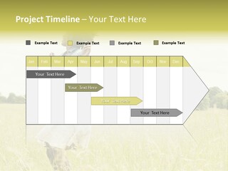 Senses Concept Rhythm PowerPoint Template