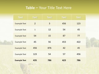 Senses Concept Rhythm PowerPoint Template