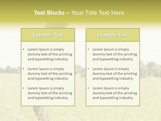 Senses Concept Rhythm PowerPoint Template