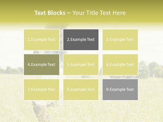 Senses Concept Rhythm PowerPoint Template