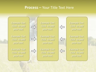Senses Concept Rhythm PowerPoint Template