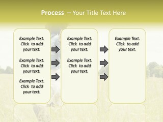 Senses Concept Rhythm PowerPoint Template
