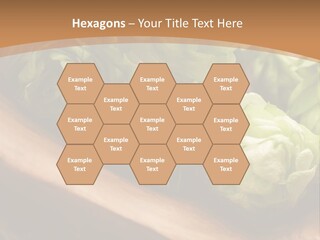 Beer Hop Medicine PowerPoint Template