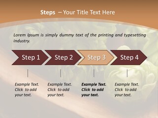 Beer Hop Medicine PowerPoint Template