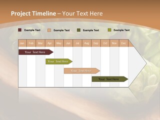 Beer Hop Medicine PowerPoint Template