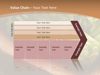 Beer Hop Medicine PowerPoint Template