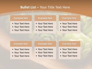 Beer Hop Medicine PowerPoint Template