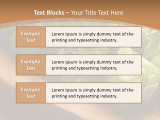 Beer Hop Medicine PowerPoint Template