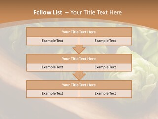 Beer Hop Medicine PowerPoint Template