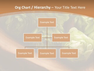 Beer Hop Medicine PowerPoint Template