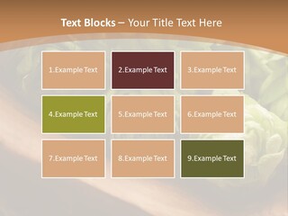 Beer Hop Medicine PowerPoint Template