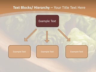 Beer Hop Medicine PowerPoint Template