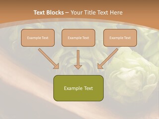 Beer Hop Medicine PowerPoint Template