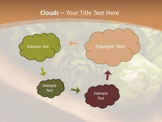 Beer Hop Medicine PowerPoint Template