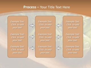 Beer Hop Medicine PowerPoint Template