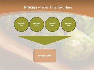 Beer Hop Medicine PowerPoint Template